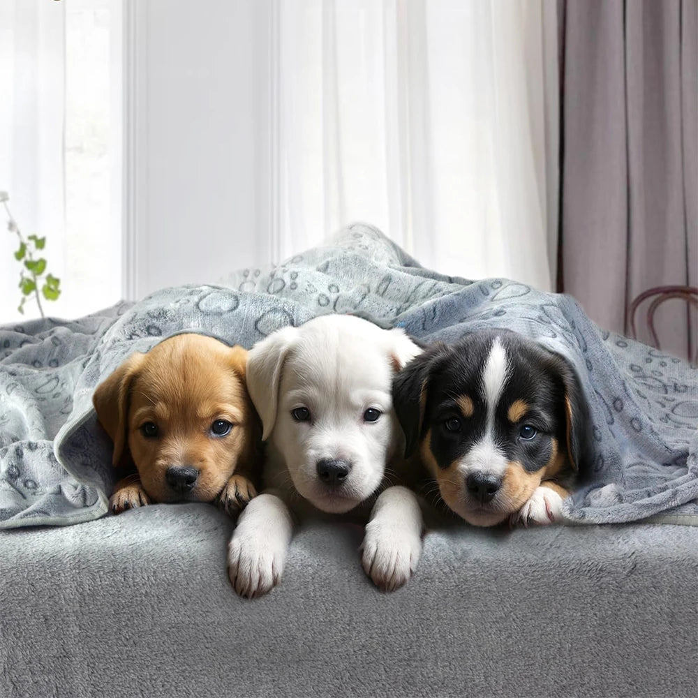 Ultra-Soft Paw Print Pet Blanket — Cozy & Machine Washable